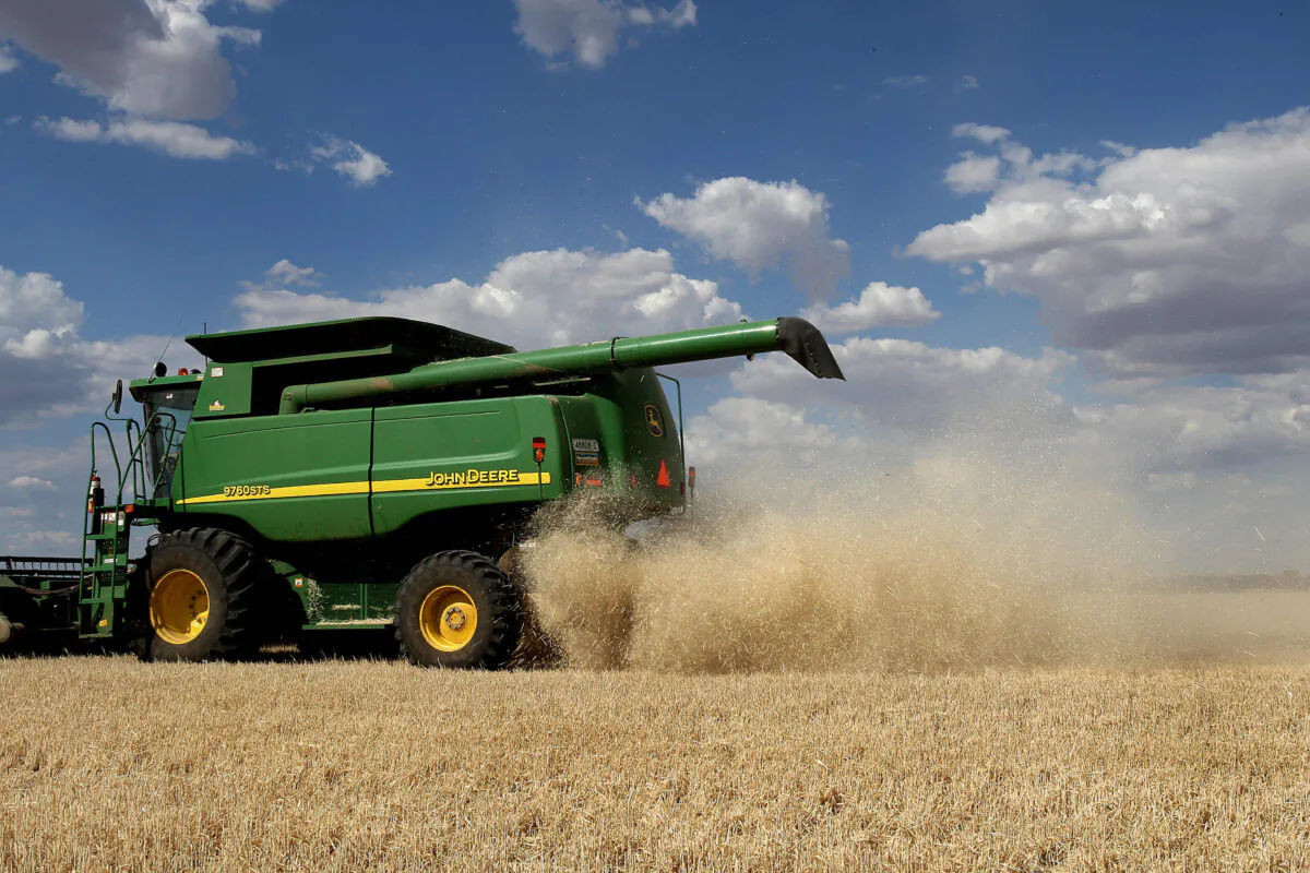Barley crop being harvested on the property in central-west New South Wales. (Greg Wood/AFP via Getty Images)