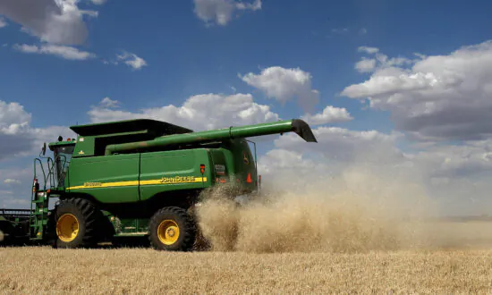 ‘We’re Out of Everything’: Commodity Prices Soar in Wake of Ukraine–Russia Conflict