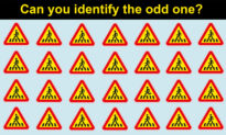 Picture Puzzles: How Fast Can You Spot the Odd Symbol Out From These Images?