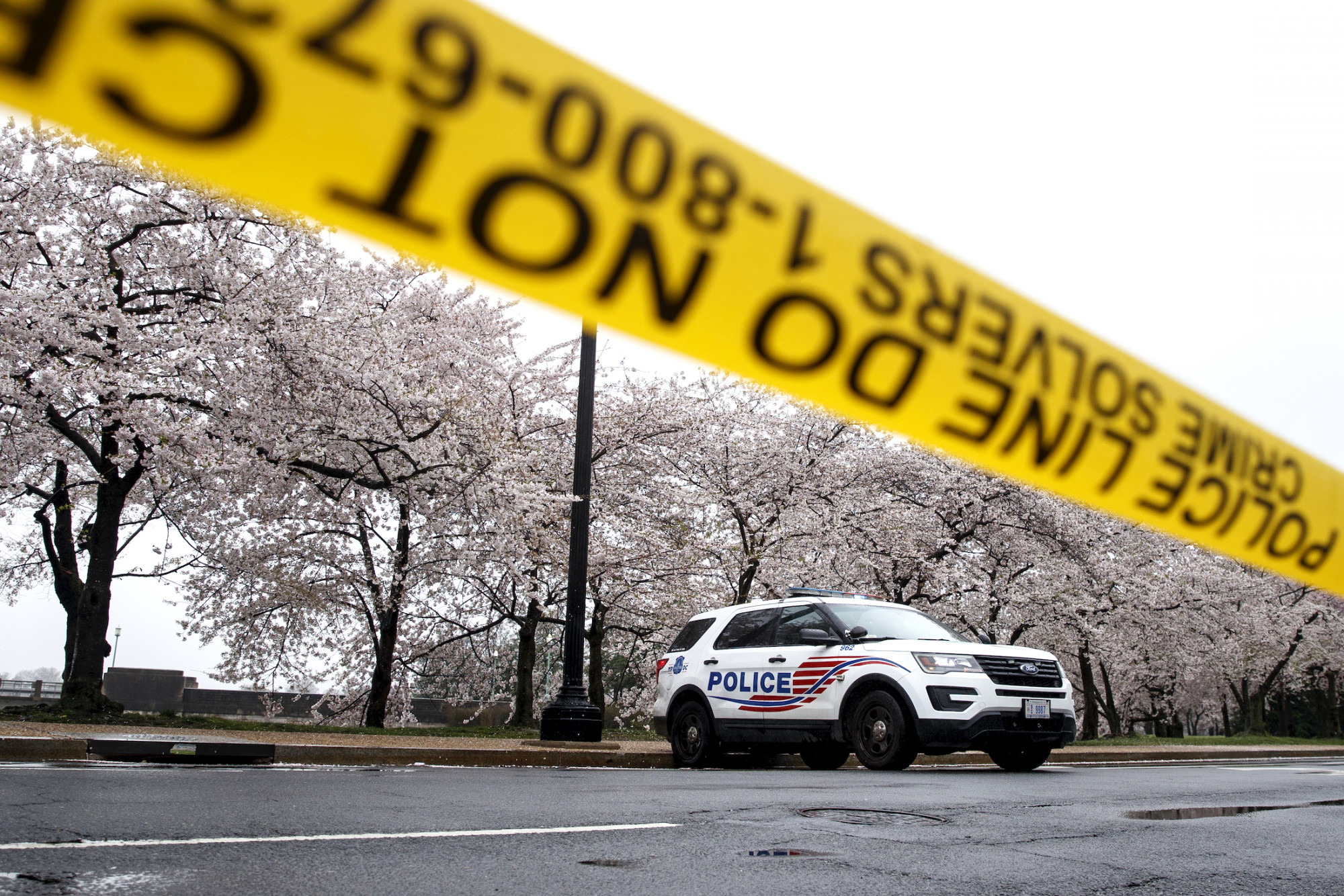 DC Resident Fatally Shoots Teen Boy for Allegedly Breaking Into Cars: Police - Vimarsana News