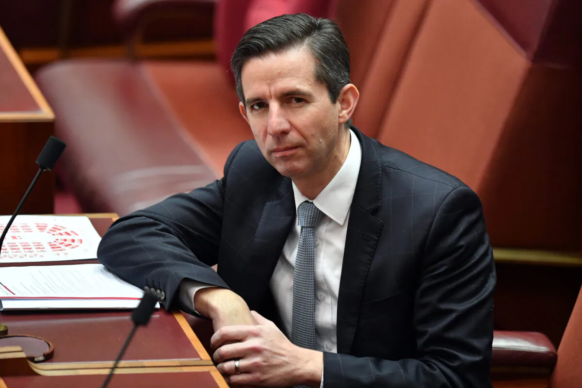 Senator Simon Birmingham, Canberra, Australia, May 14, 2020.  (Sam Mooy/Getty Images)