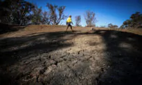 Chinese State-Owned Companies Own More Australian Water than Sydney Harbour Holds