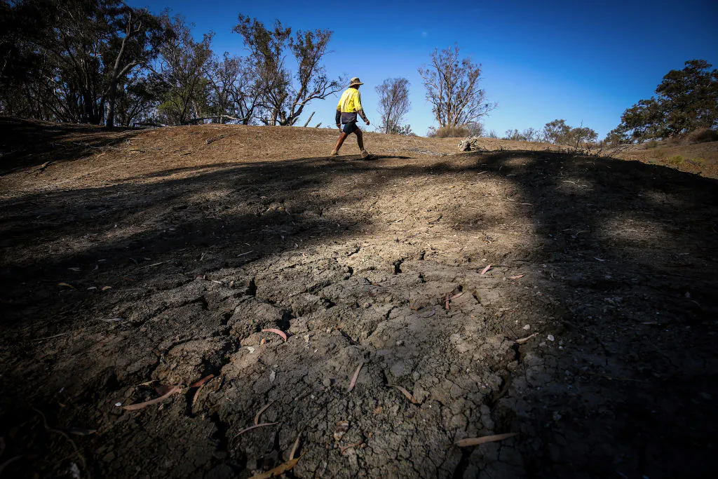 A farmer walks near the shells of dead mussels lying in the dried-up bed of the Namoi River near the north-western New South Wales town of Walgett on Oct. 6, 2019. (David Gray/Getty Images)
