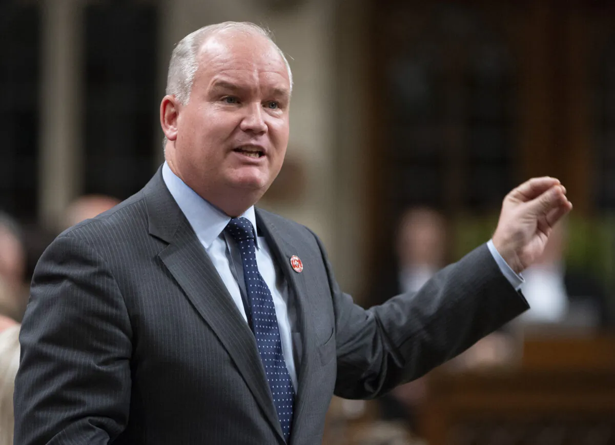 Conservative MP and leadership candidate Erin O'Toole in a file photo. (Adrian Wyld/The Canadian Press)