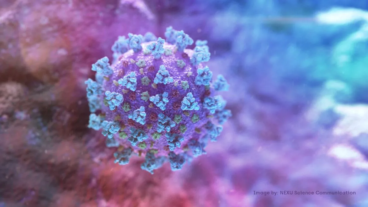 A computer image created by Nexu Science Communication together with Trinity College in Dublin, shows a model structurally representative of a betacoronavirus which is the type of virus linked to COVID-19, better known as the coronavirus linked to the Wuhan outbreak, shared with Reuters on Feb. 18, 2020. (NEXU Science Communication/via Reuters)