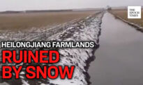 The ‘Northern Grain Base’ of China Suffers From Heavy Snow