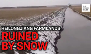 The ‘Northern Grain Base’ of China Suffers From Heavy Snow