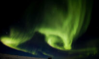 Solar Storm Expected to Hit Earth Soon Could Cause Power Grid, Satellite Disruptions: Agency