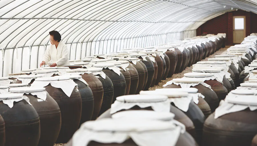 Hyena Kwon and her mother, Seong Myeong-rye (pictured) have been making doenjang the old-fashioned way for decades in traditional large clay pots called onggi. (Courtesy of Mac Doenjang)