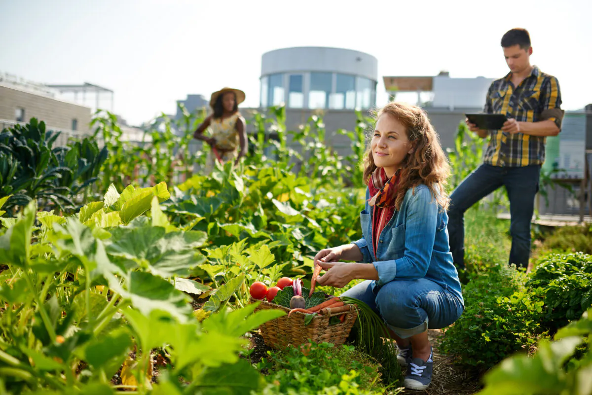 When we concentrate on a job or chore, when we give ourselves fully to a task, we complete the work more easily and more efficiently than otherwise.(AYA images/Shutterstock)