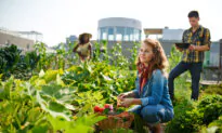 Day-by-Day: Making the Most of the Present