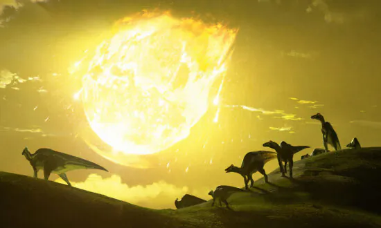 The Asteroid That Wiped Out the Dinosaurs Hit at the ‘Deadliest Possible’ Angle