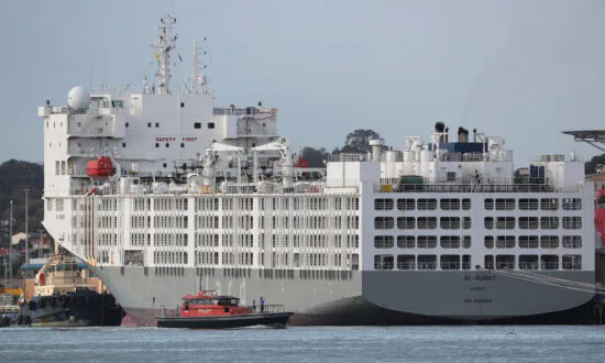Ship With 16,500 Animals in Limbo Amid Export Decision