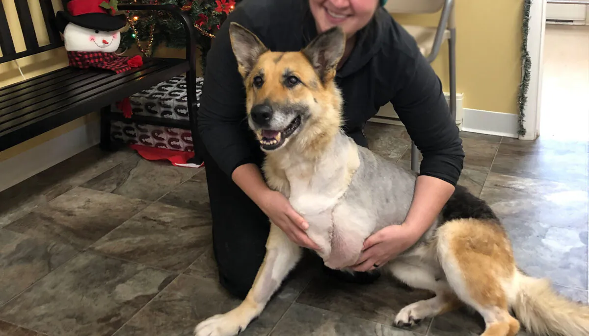 (Courtesy of Susquehanna SPCA)