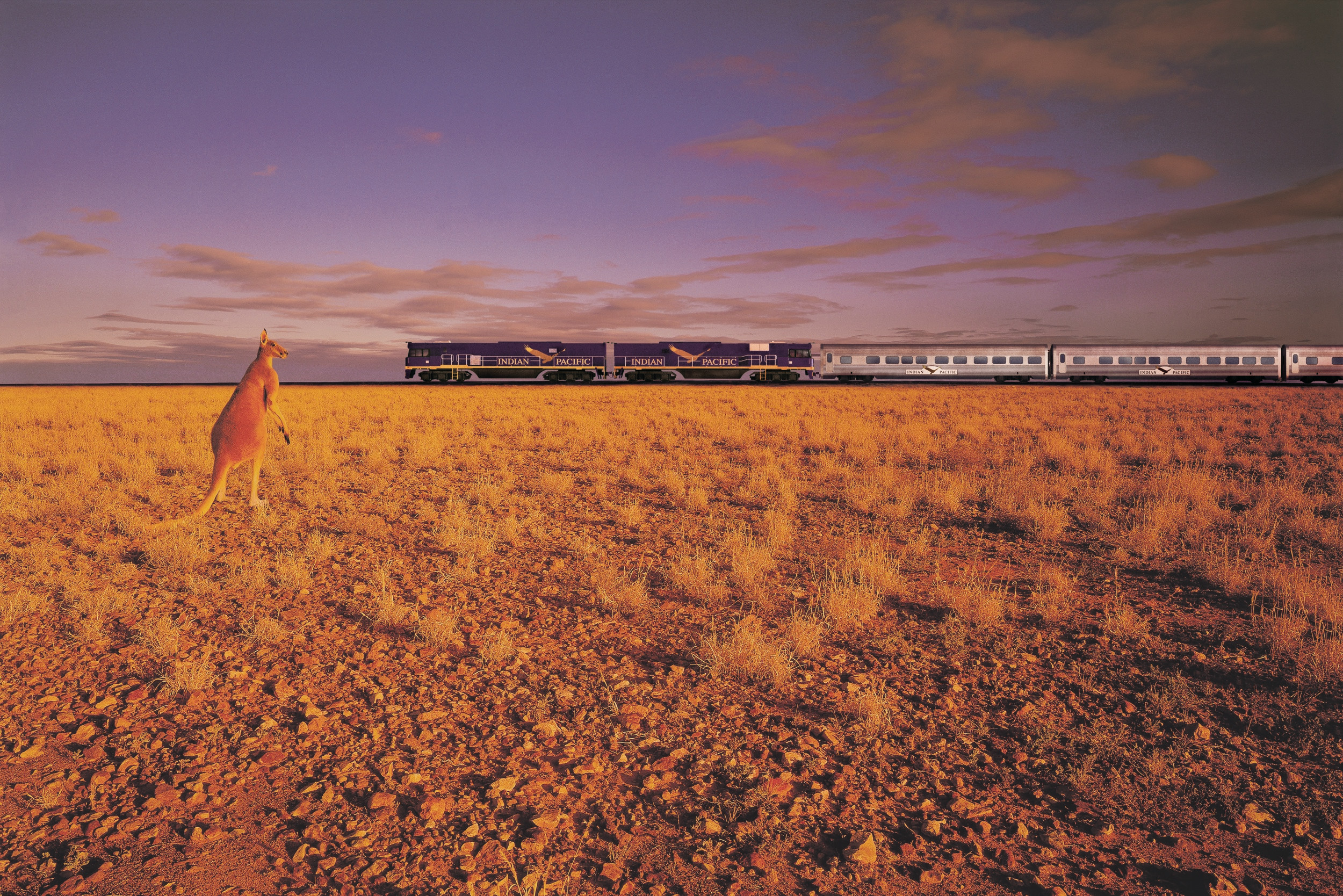 train