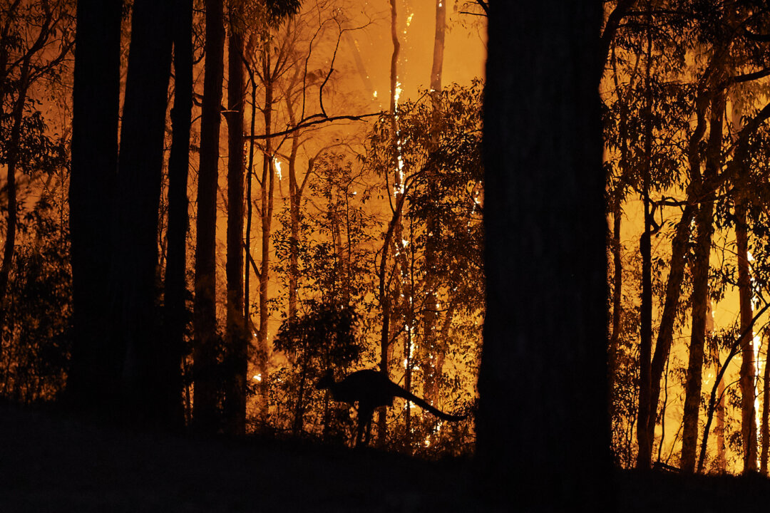 Billions Lost in Aussie Black Summer Bushfires | The Epoch Times