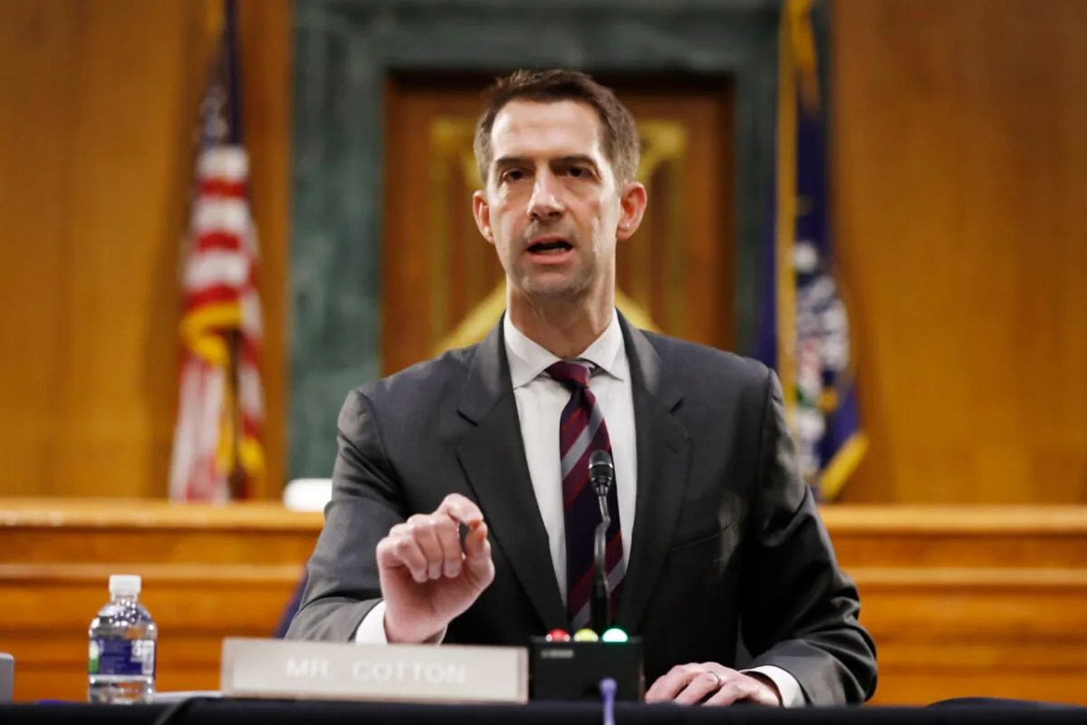 Sen. Tom Cotton (R-Ark.) speaks during a Senate Intelligence Committee nomination hearing on Capitol Hill in Washington, on May 5, 2020. (Andrew Harnik-Pool/Getty Images)