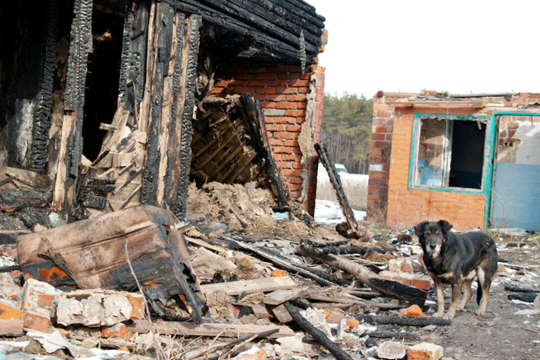 Courageous Dog Owner Dies After Running Into Burning House to Rescue ...