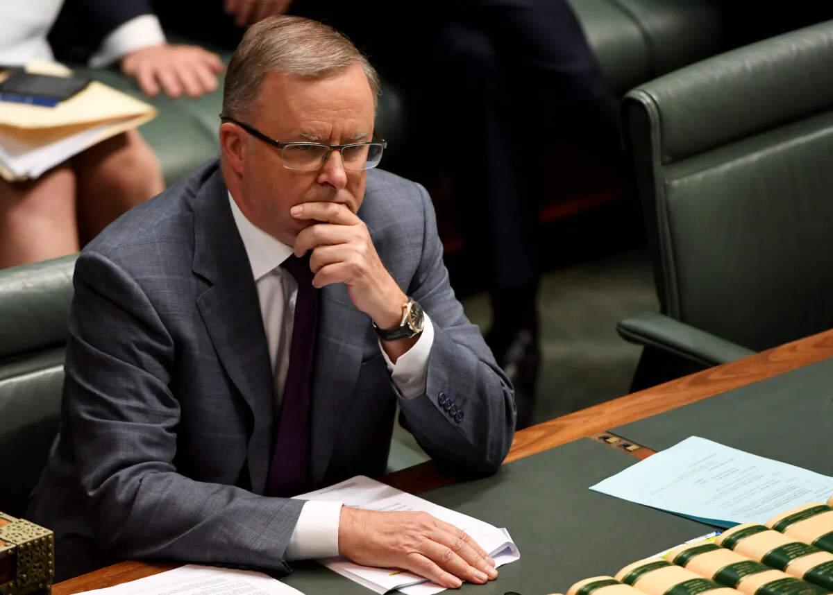 Opposition Leader Anthony Albanese puts questions to the Prime Minister Scott Morrison during Question Time in the House of Representatives in Canberra, Australia on Feb 5. (Tracey Nearmy/Getty Images)