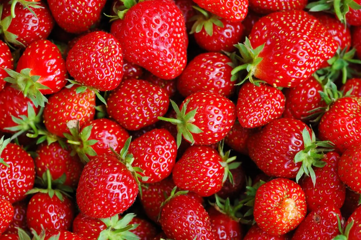 Pair strawberries with ginger for a refreshing, sweet-tart-spicy shrub. (Martin Kubat/Shutterstock)