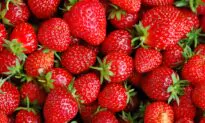 Strawberry Ginger Shrub