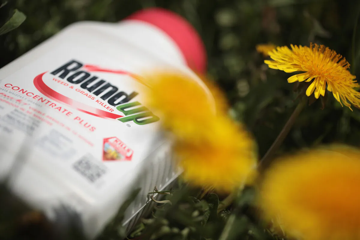 Roundup weed killer is shown on May 14, 2019 in Chicago, Ill. (Scott Olson/Getty Images)