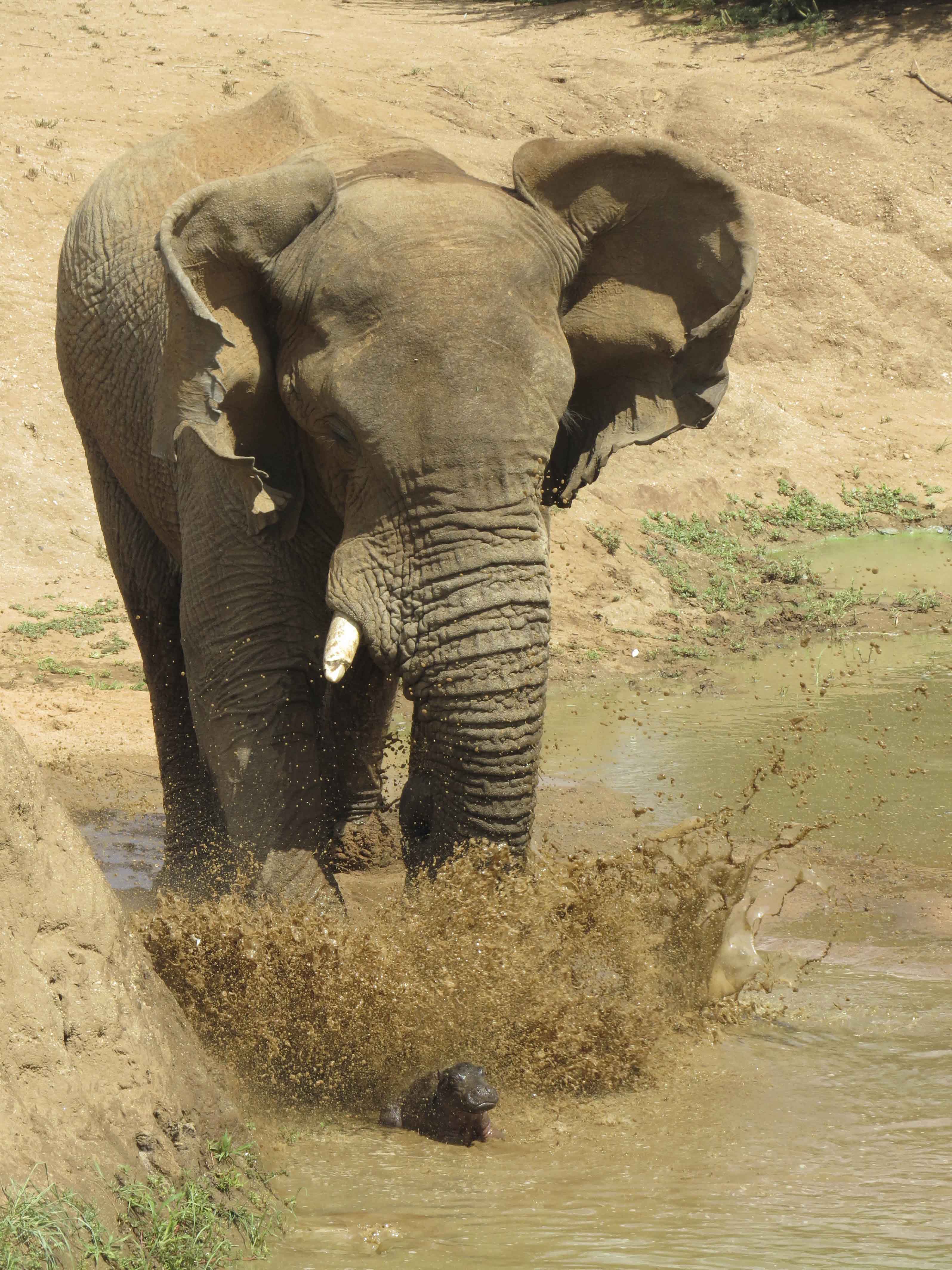 Epoch Times Photo