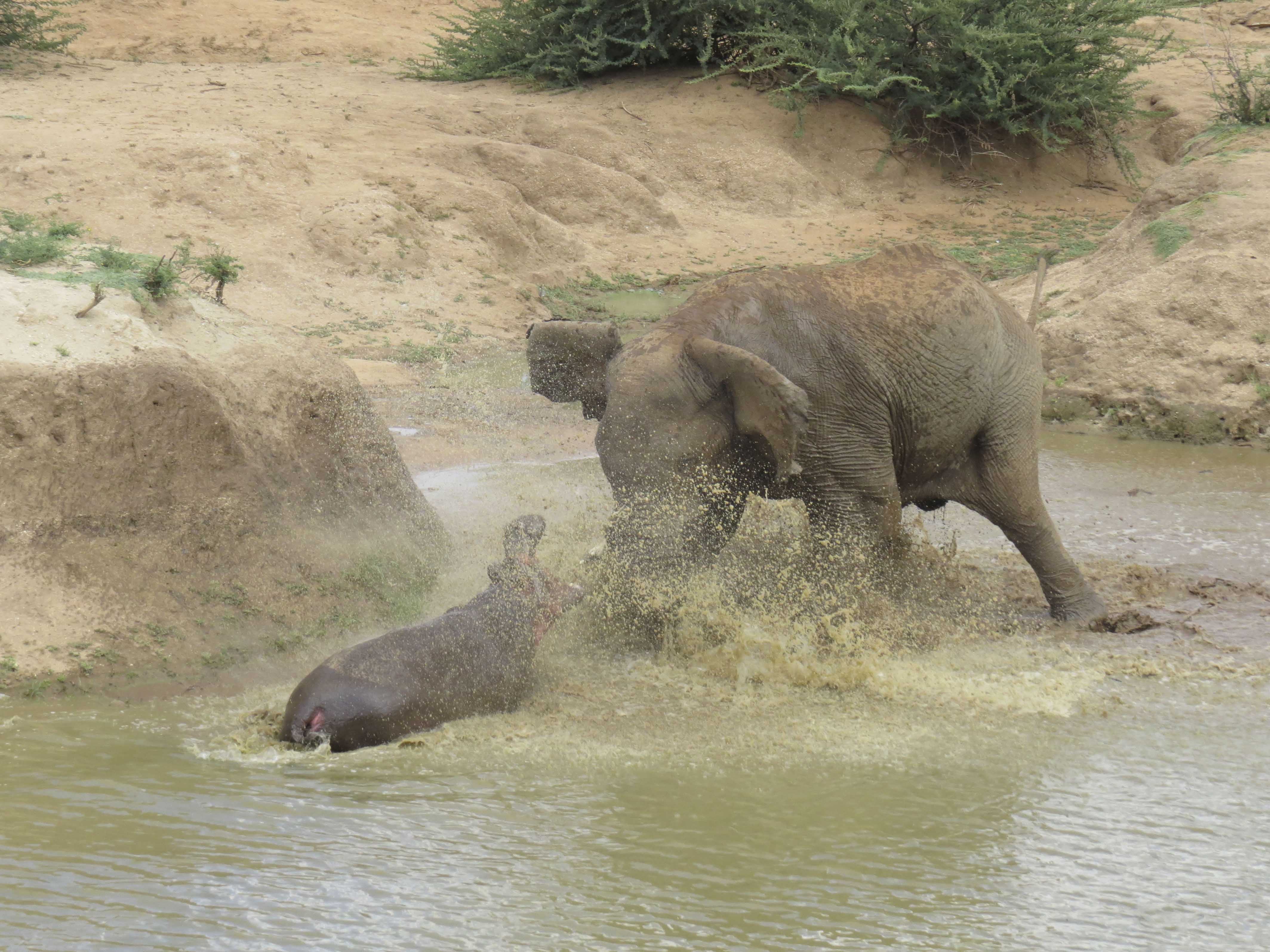 Epoch Times Photo