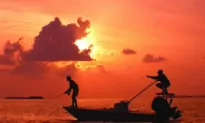 A Guide to Day Tripping Through the Upper Florida Keys