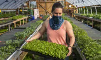 USDA Expands Aid to US Farmers, Specialty Crop Producers