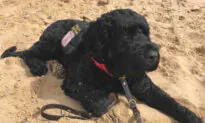 Service Dog Saved Owner’s Life, Licks Him to Take His Medication for Deadly Hormonal Disorder