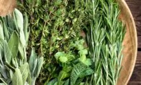 A Beginner’s Guide to Tuscan Herbs