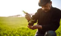It’s Time to Rethink Our Food System