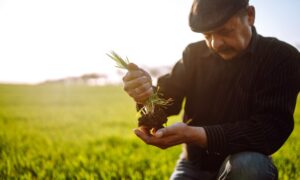 It's Time to Rethink Our Food System