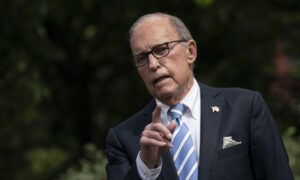 Top Trump Administration Official Says US Won't Shut Down Economy Again