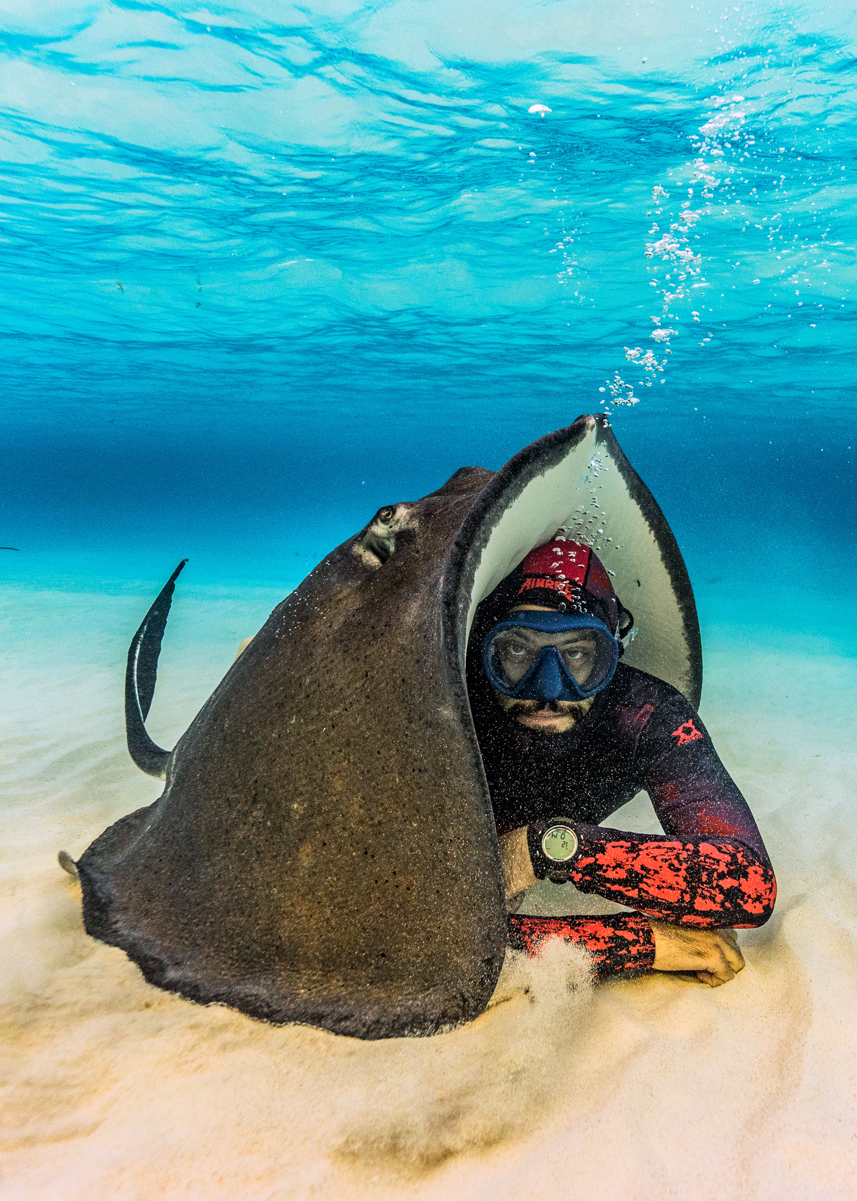 stingray underwater glider