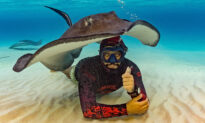 Helpful Stingray Uses Its Body as a Tent for Diver During Underwater Photoshoot on Ocean Floor