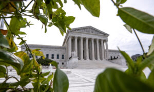 Republican Lawmakers Criticize Supreme Court Ruling on DACA