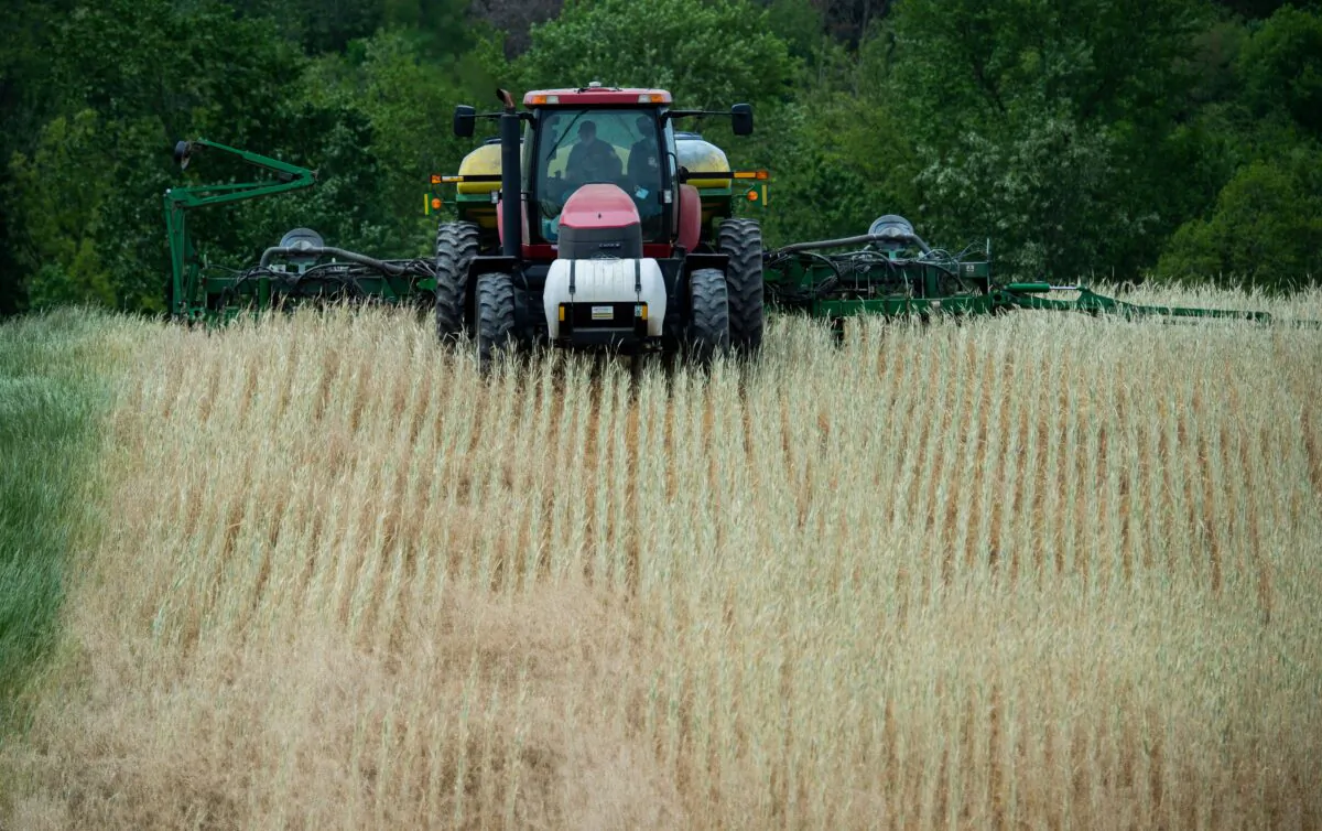 A farmer plants corn in the Marvin Chapel field in Mount Airy, Md., on May 19, 2020. (Andrew Caballero-Reynolds/AFP via Getty Images)