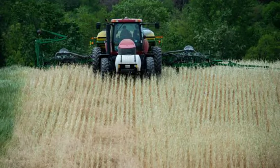 IN-DEPTH: Questions About Genetically Modified Crops as Agriculture’s ‘Silver Bullet’ Solution to Climate Change