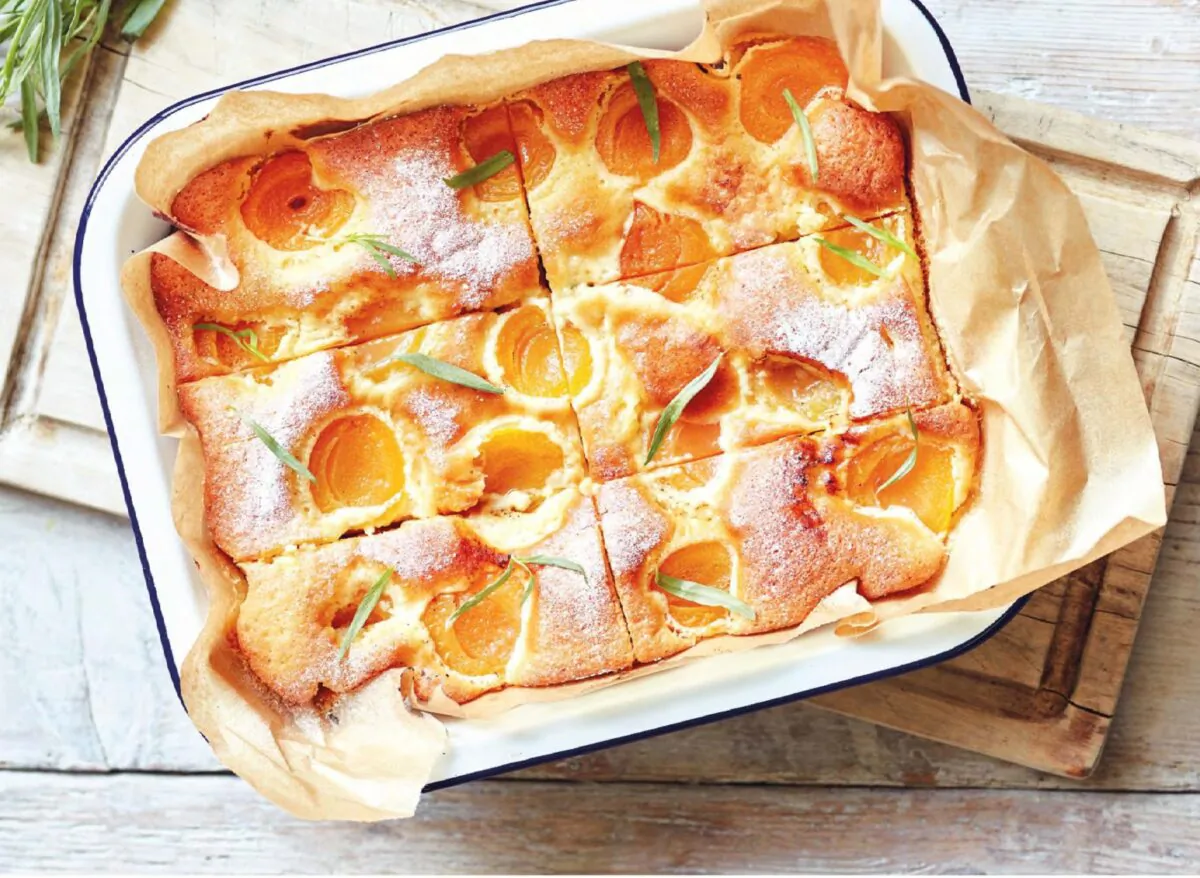 Summer apricots shine in a tender, fluffy yogurt cake, a testament to Romanians' love for baking with fruit. (Jamie Orlando Smith Photography)