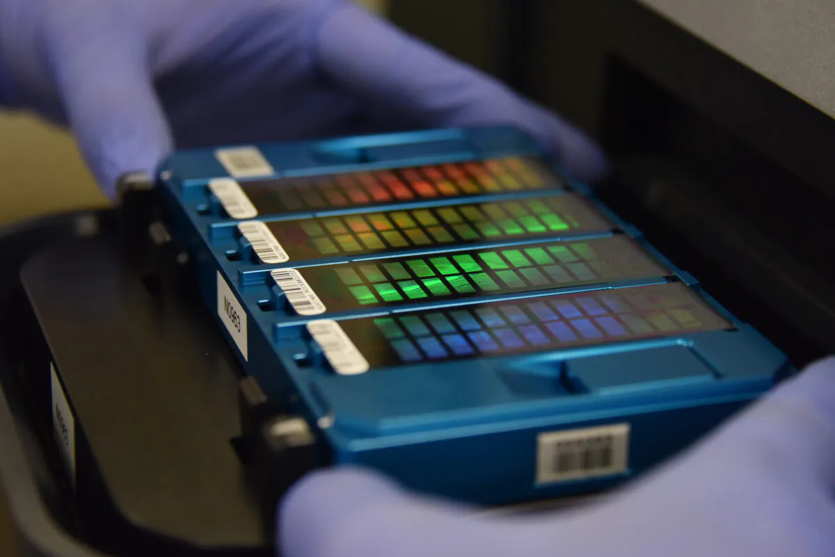 A technician places an array containing DNA information in a scanner in Beijing on Aug. 22, 2018. (Greg Baker/AFP via Getty Images)