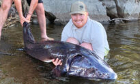 Fisherman Reels In Massive 7-Foot-Long Ontario Lake Monster: ‘My Legs Were Shaking’