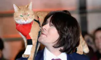 Street Cat Named Bob Who Helped Heroin-Addict Owner Turn His Life Around Dies at Age 14