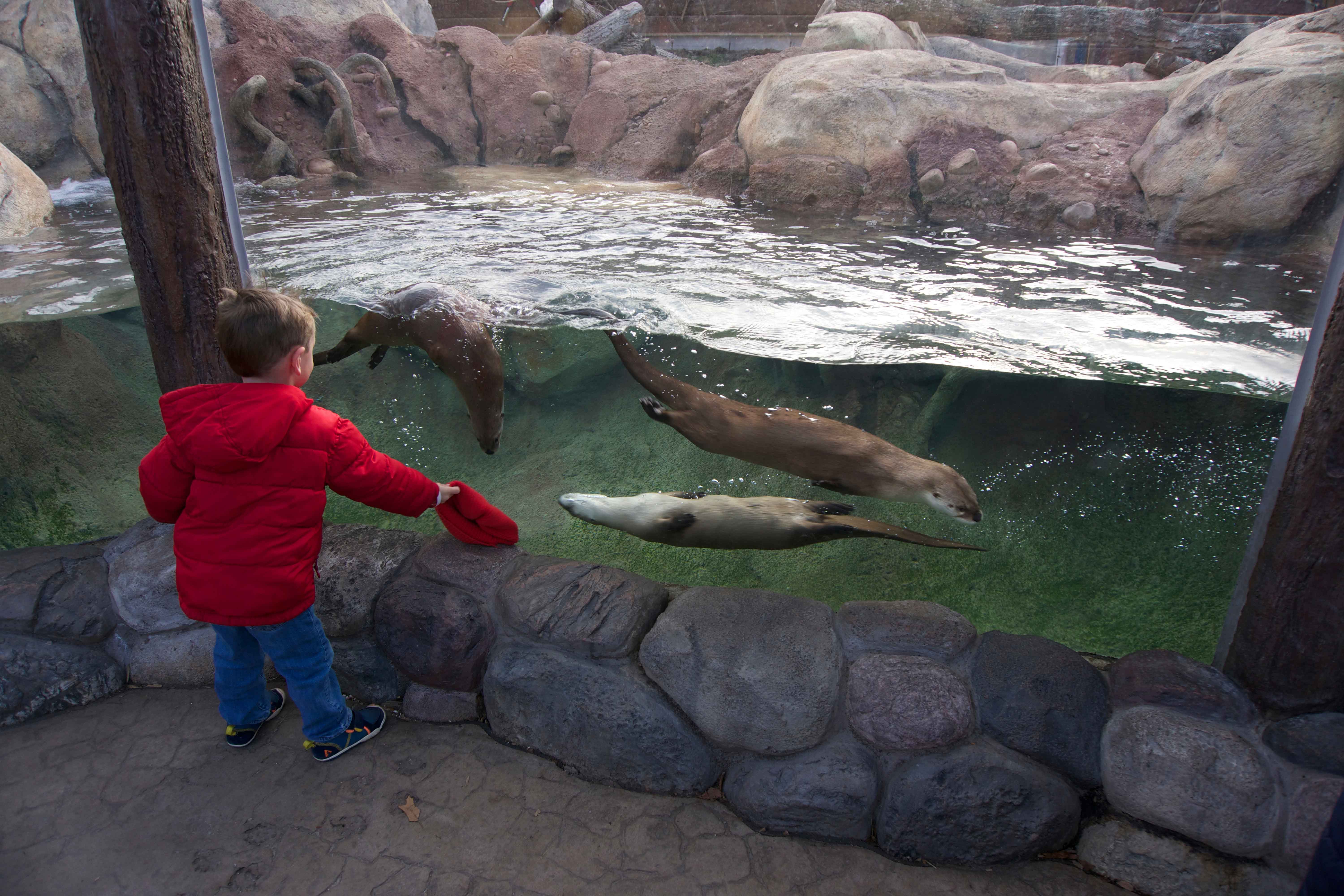 Marine Zoo Forced to Close Says It May Have to Euthanize Hundreds of