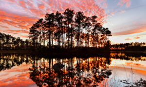 Exploring Florida’s Wild Outdoors