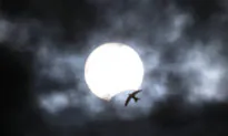 Rare ‘Ring of Fire’ Solar Eclipse on the Longest Day of the Year