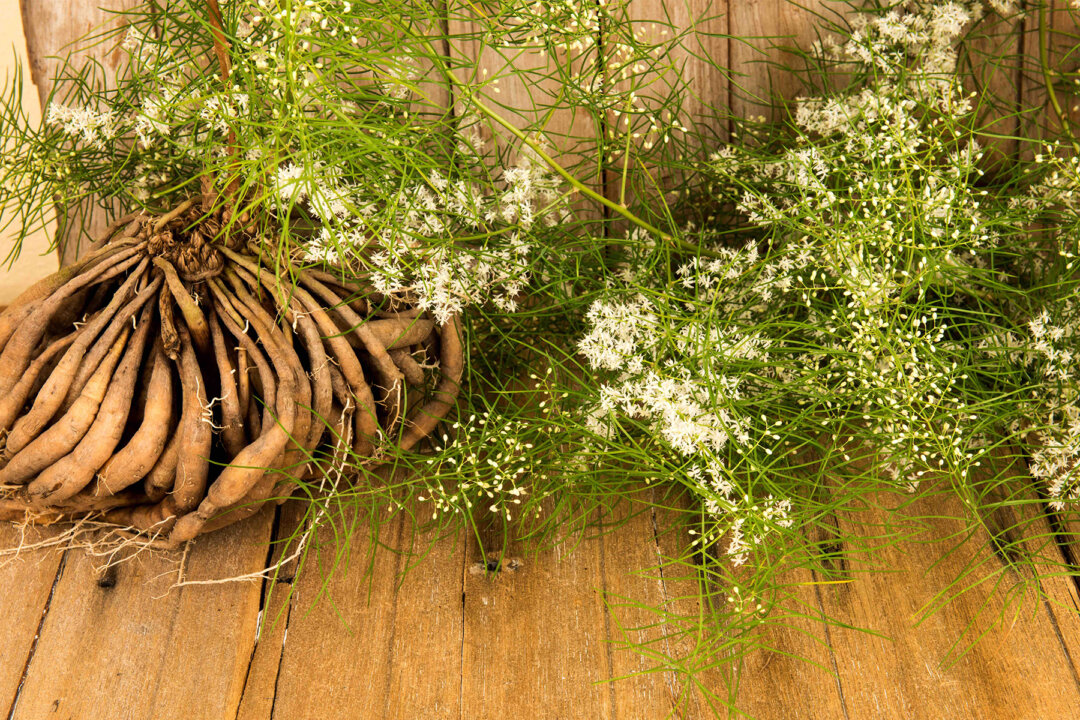 (wasanajai/Shutterstock)