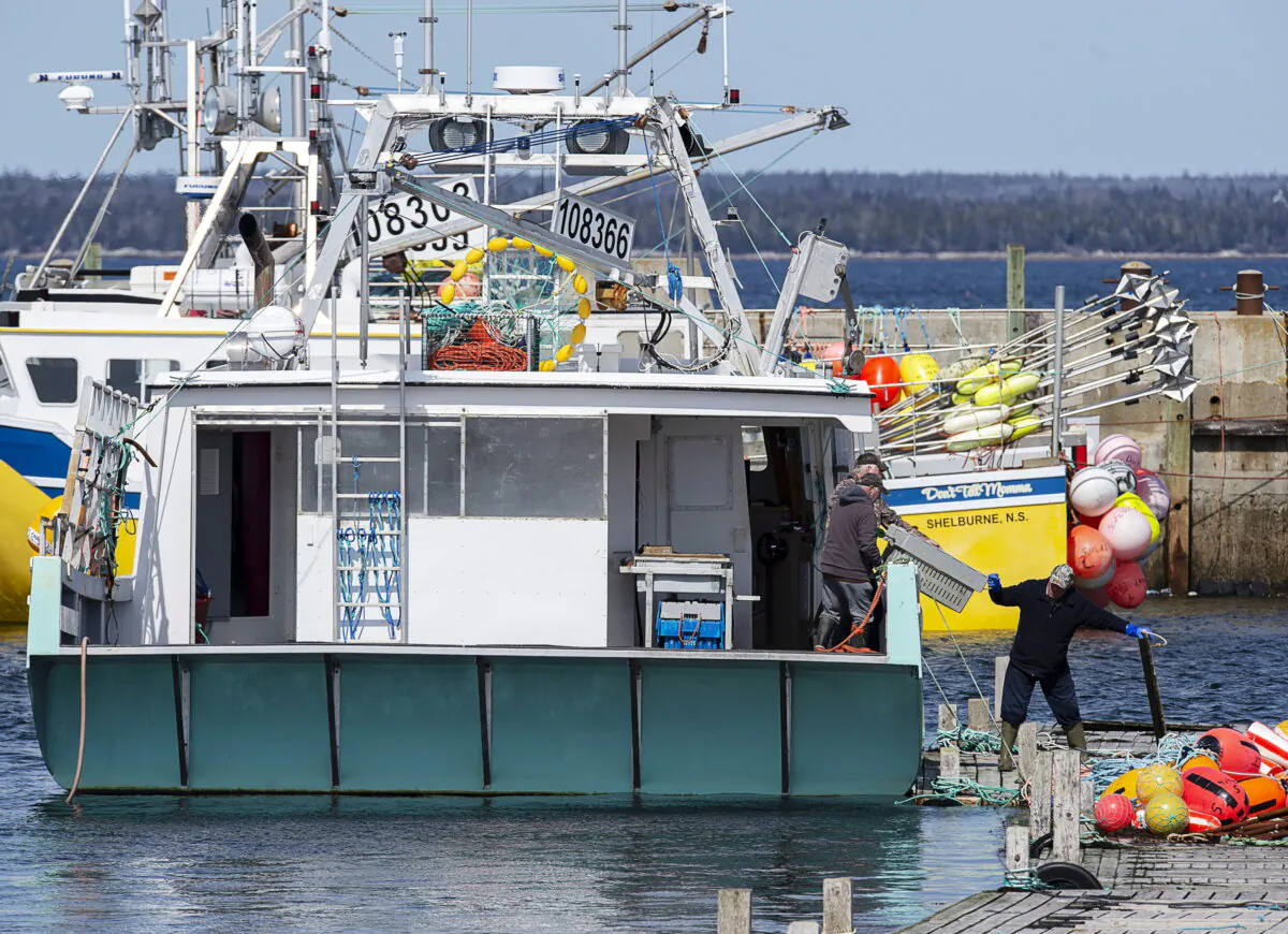 Fishermen unload lobster crates in Newellton, N.S., on March 25, 2020. (Andrew Vaughan/The Canadian Press)