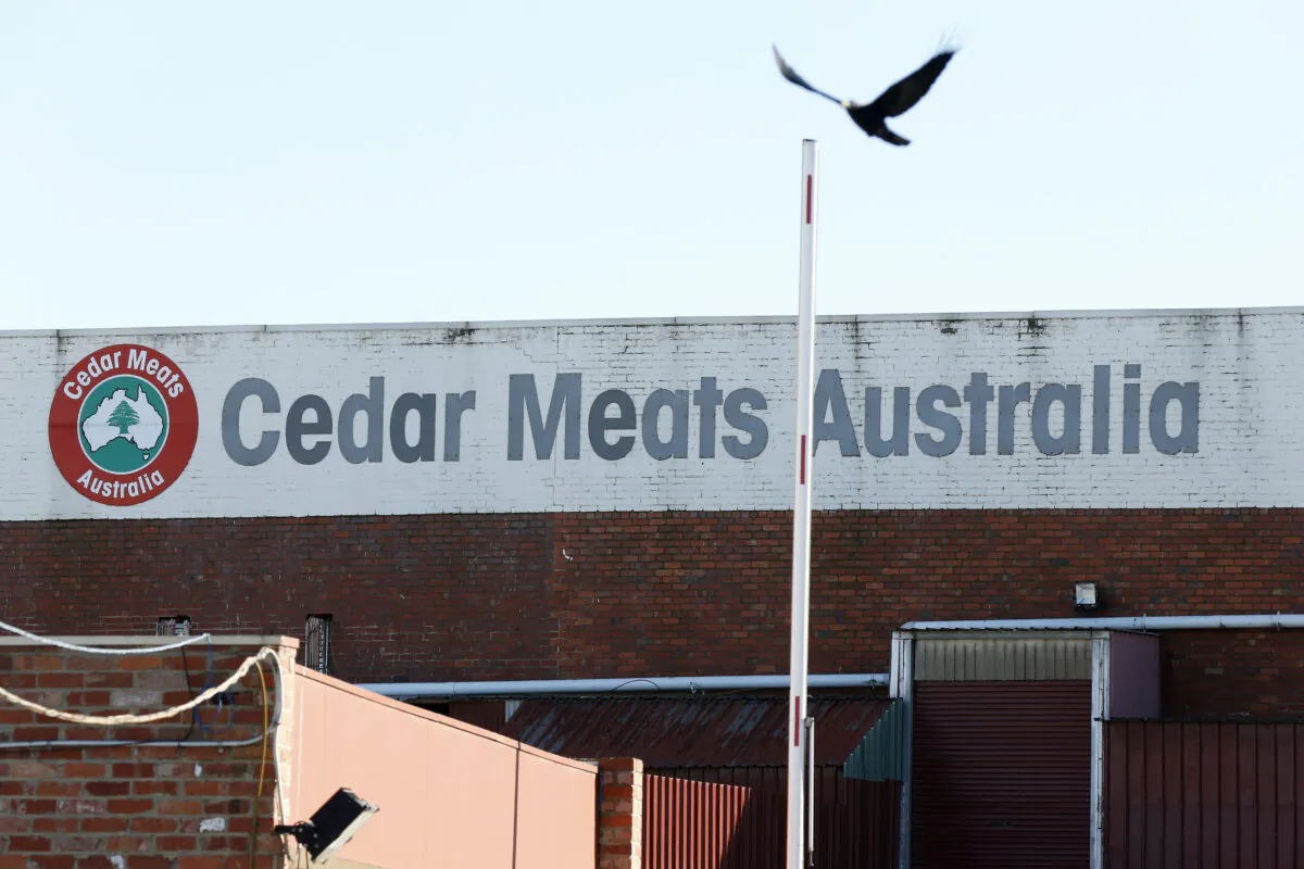 Cedar Meats abattoir in Brooklyn, Brimbank, Victoria, Australia on May 5, 2020. (Darrian Traynor/Getty Images)